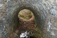 
Lasgarn Quarry Northern tunnel approach, March 2009